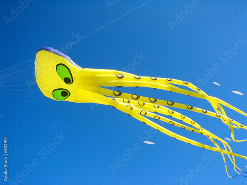 cerf volant