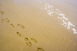 man and boy's footprints in the sand man and boy's footprints in the sand