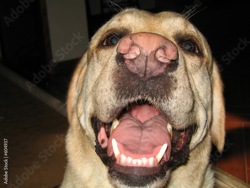 Foto: gtta love me. gtta love me.