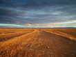 saharan road