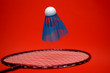 sports - badminton sports - badminton