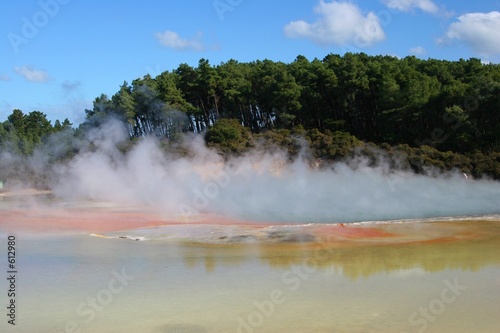 champain pool 1