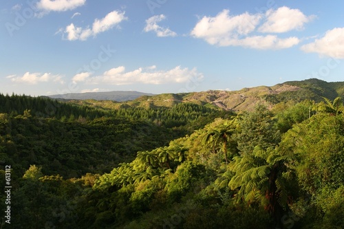 neuseeland