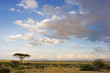 african landscape