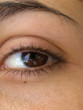 oeil oeil