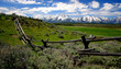teton fenceline