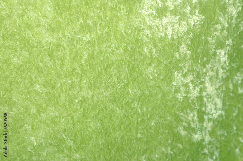 greenvelveteen