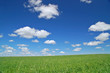 springtime meadow springtime meadow