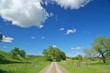 country road