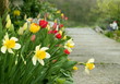 spring garden