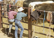 cowboys