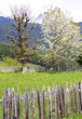 alpen impressionen -  berglandschaft