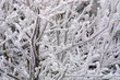 weihnachten - verschneite waldlandschaft weihnachten - verschneite waldlandschaft