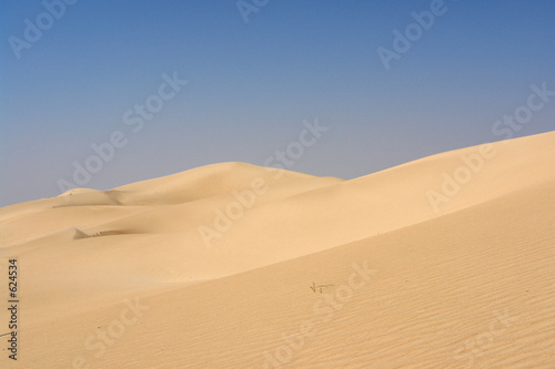 sahara 113