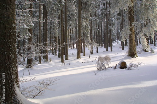 weihnachten - verschneite waldlandschaft weihnachten - verschneite waldlandschaft