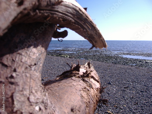 plage evangeline
