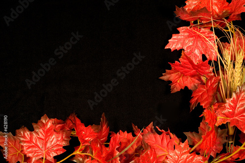 Photo: autumn border ii autumn border ii