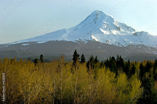 Photo: mt. hood mt. hood