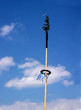 Foto: maibaum maibaum