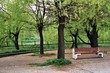 a bench in the park