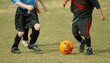 children playing soccer - football