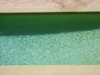 green pool