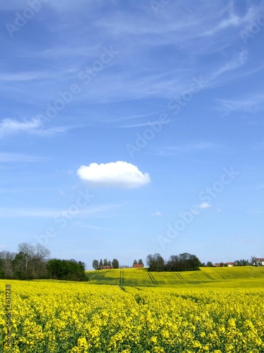 jaune et bleu