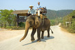 trek sur éléphant