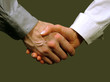 business handshake ,woman and man (gray background)