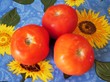 tomatoes - sunflower background