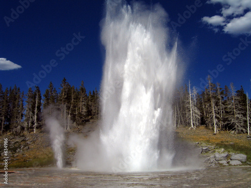 grand geyser yellowstone