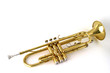 trumpet trumpet