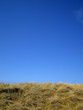 strand_ostsee4