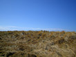 strand_ostsee1