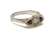 elb ring - macro