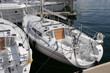 sailing boats