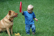 fetch game