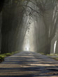 walking in alley