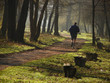 jogging at morning light
