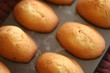 madeleine