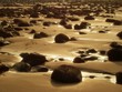 rocks on beach at sunset rocks on beach at sunset