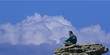 homme sur une montagne