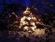 christbaum christbaum