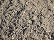 earth earth