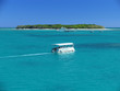glass boat to lady musgrave