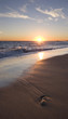 malibu sunset