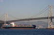 container ship under bridge