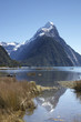 mitre peak portret
