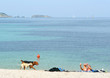bronzage en compagnie