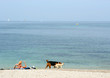 huilage et bronzage